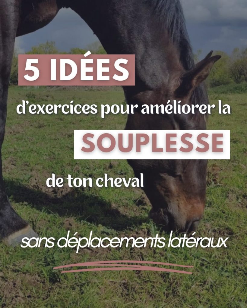 améliorer souplesse cheval