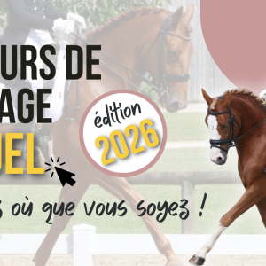 concours virtuel dressage