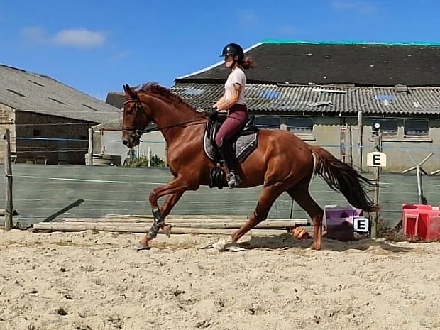débourrage marie turillon débourrage