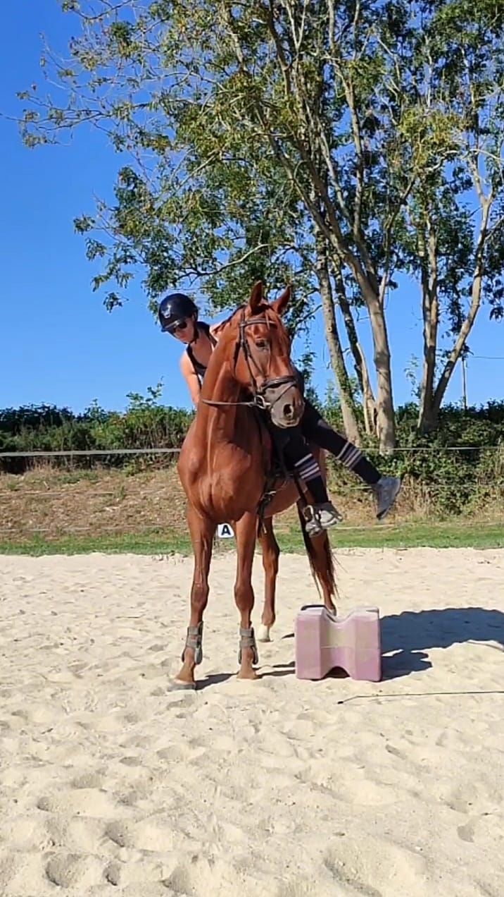 debourrage marie turillon